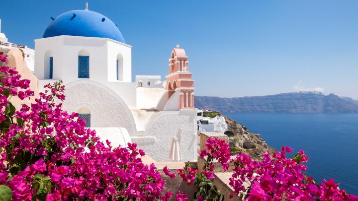 Scenic view of traditional cycladic houses with flowers in foreg