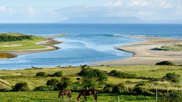 Beautiful,Landscape,With,Horses,In,County,Sligo,,Ireland