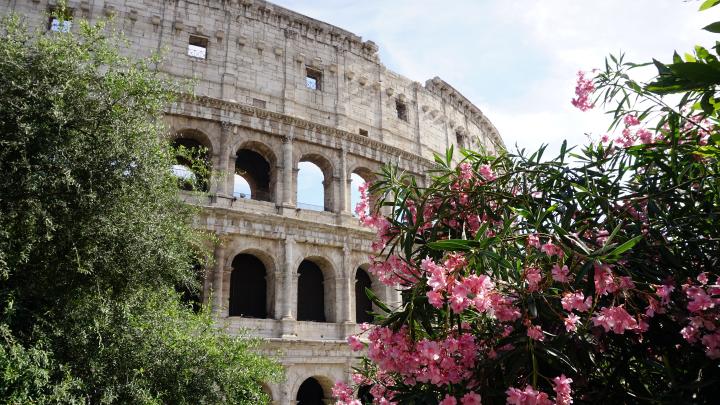 colosseum rome