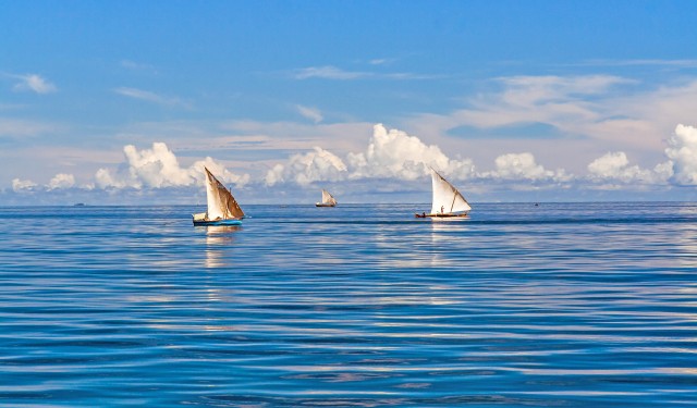 Fishing boats