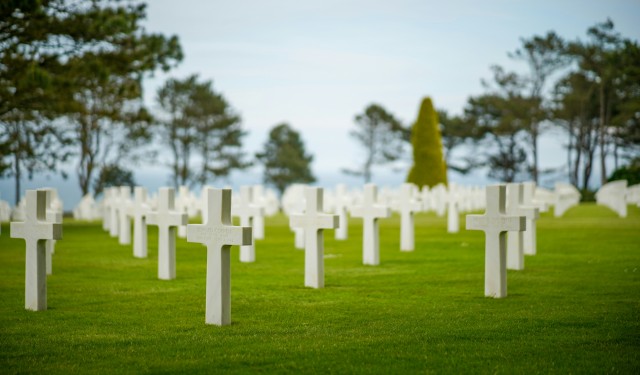 Crosses in cemetary