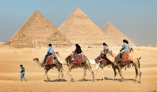 Group camel ride