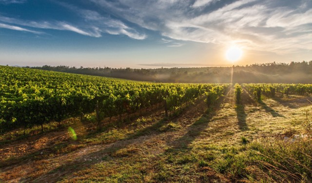 piedmont sunrise