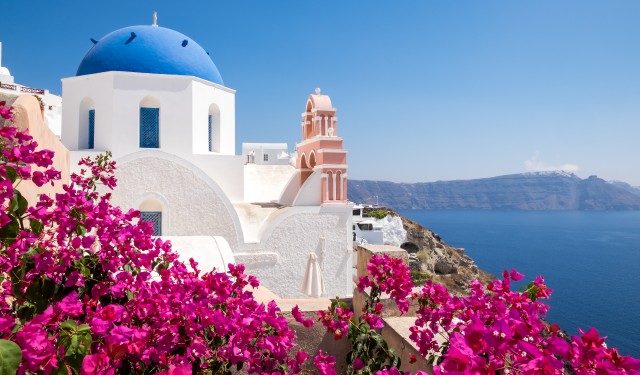 Scenic view of traditional cycladic houses with flowers in foreg