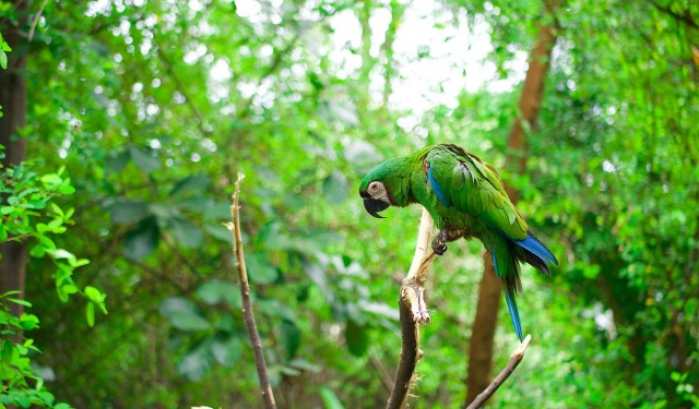 Ecuador