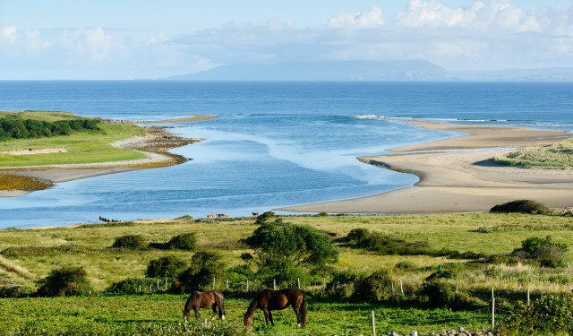 Beautiful,Landscape,With,Horses,In,County,Sligo,,Ireland