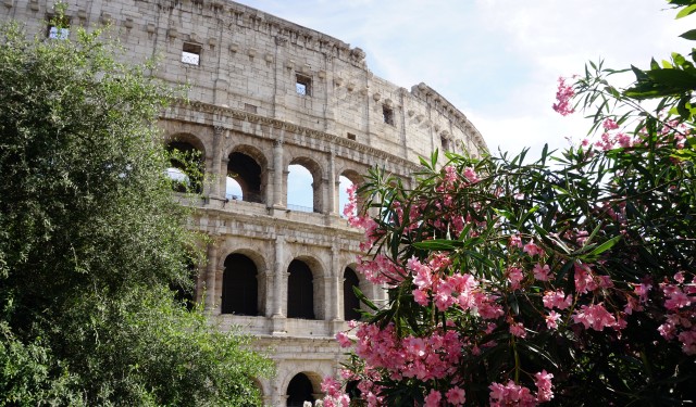 colosseum rome